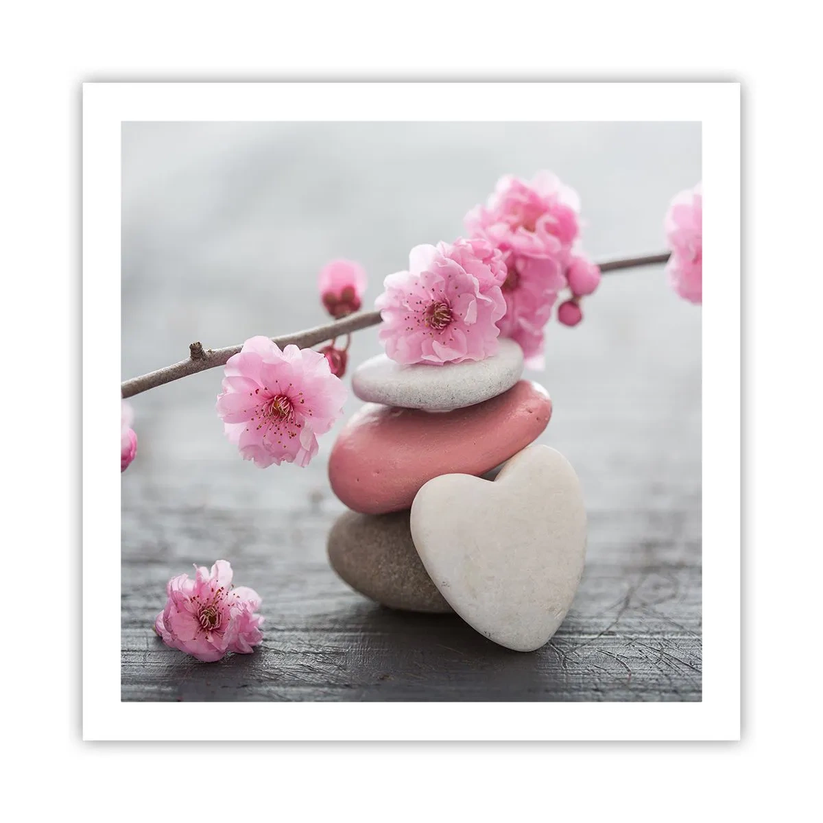 Póster - Felicidad con la flor del cerezo - 60x60 cm