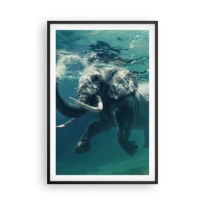 Póster en marco negro - A todos nos gusta nadar - 61x91 cm