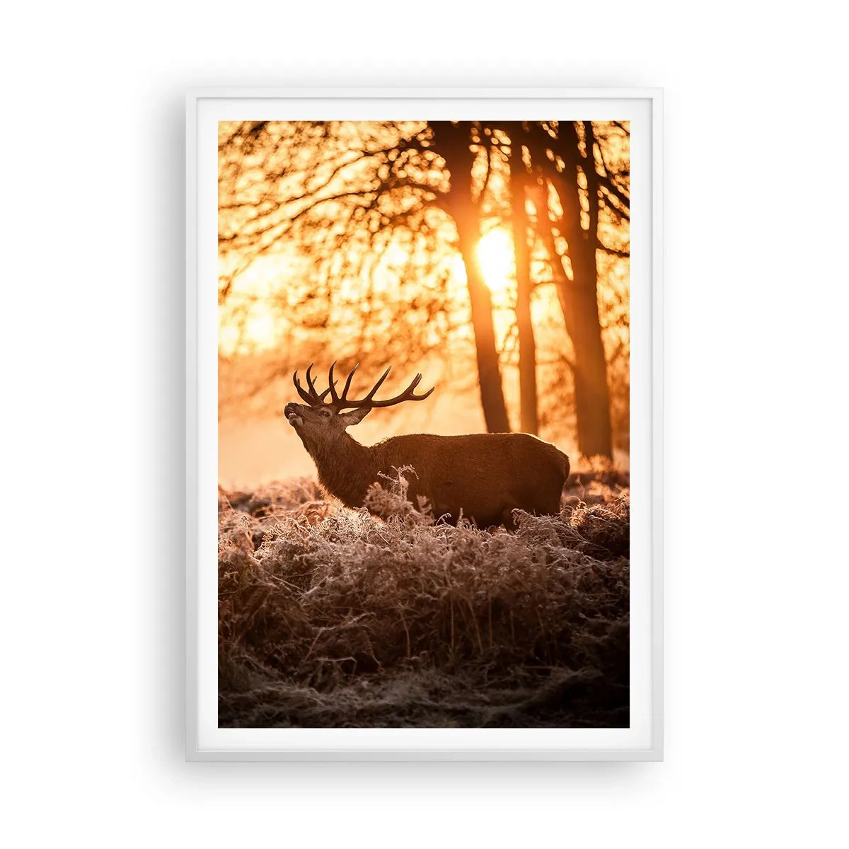 Póster en marco blanco - El sueño de un cazador - 70x100 cm
