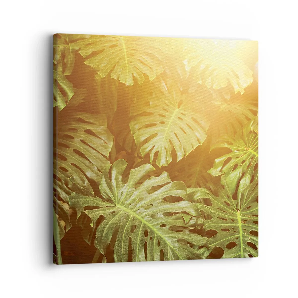 Cuadro sobre lienzo - Impresión de Imagen - Hacia el verdor... - 40x40 cm