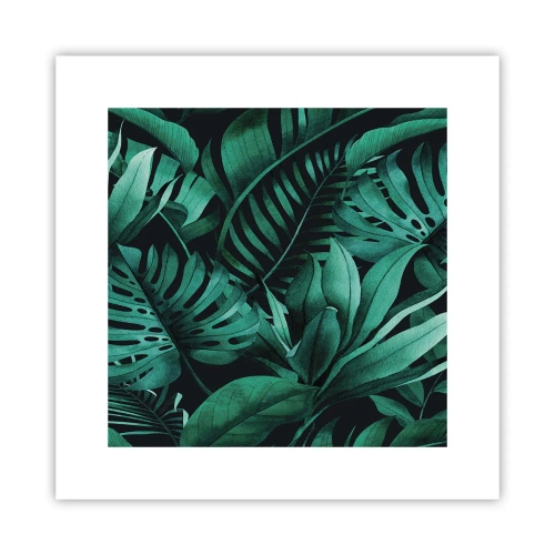 Póster - Profundidad del verde tropical - 30x30 cm