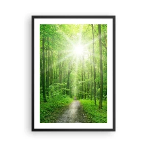 Póster en marco negro - Un camino forestal iluminado por los rayos del sol. - 50x70cm - Catedral verde - Decoración de pared moderna para salón y dormitorio ARTTOR