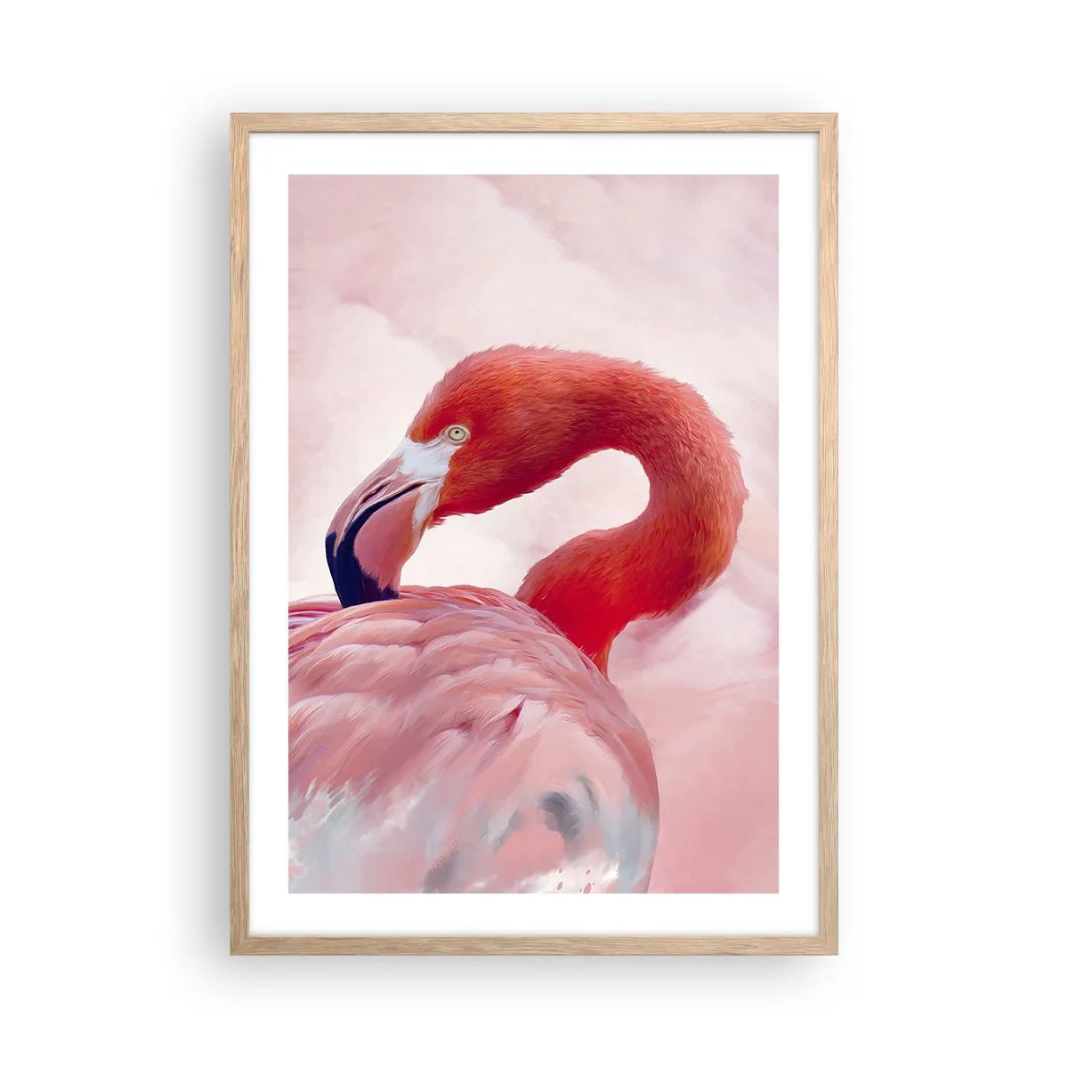 Póster en marco roble claro - La belleza de las aves - 50x70 cm
