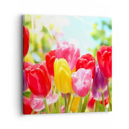 Cuadro sobre lienzo - Impresión de Imagen - Somos nosotros, ¡los colores de mayo! - 40x40 cm