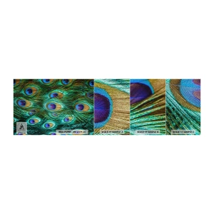 Muestra de fotomural Premium Sand - Mirada de pavo real - Abstracción, plumas de pavo real, pluma de pájaro - 100x30 cm