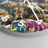 Esfera con numeración