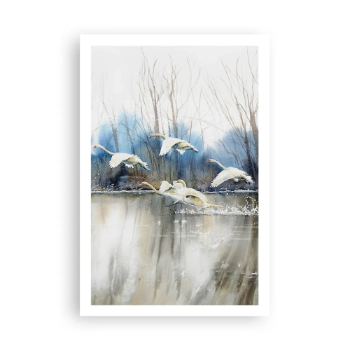 Póster - Como en un cuento de cisnes salvajes - 61x91 cm