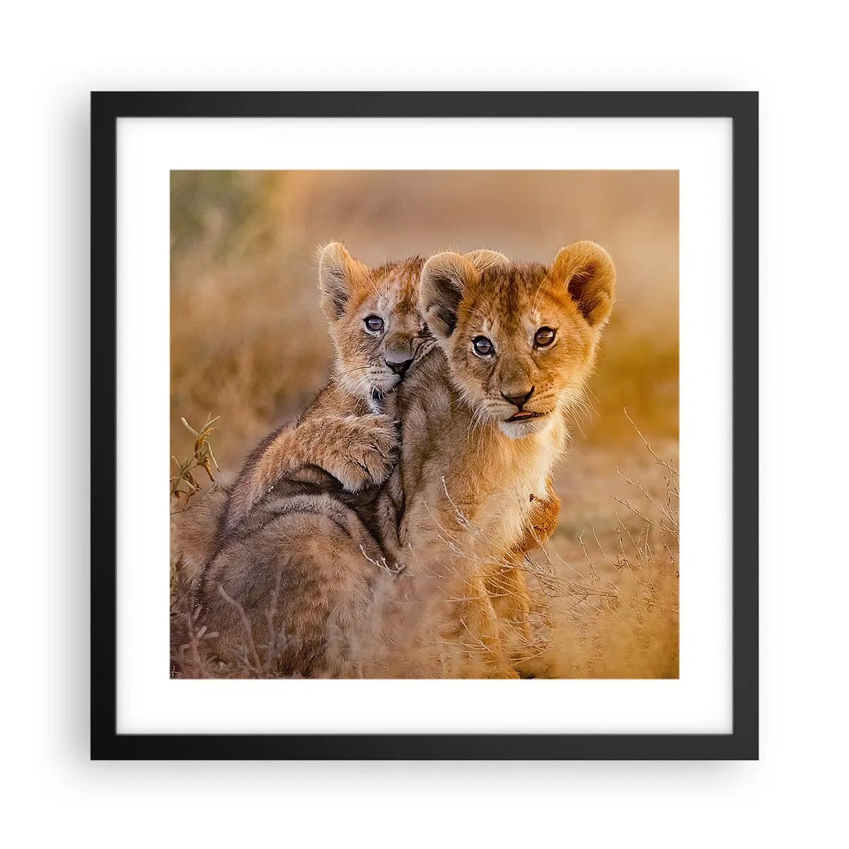 Póster en marco negro - ¡No molestar! Nos estamos divirtiendo - 40x40 cm