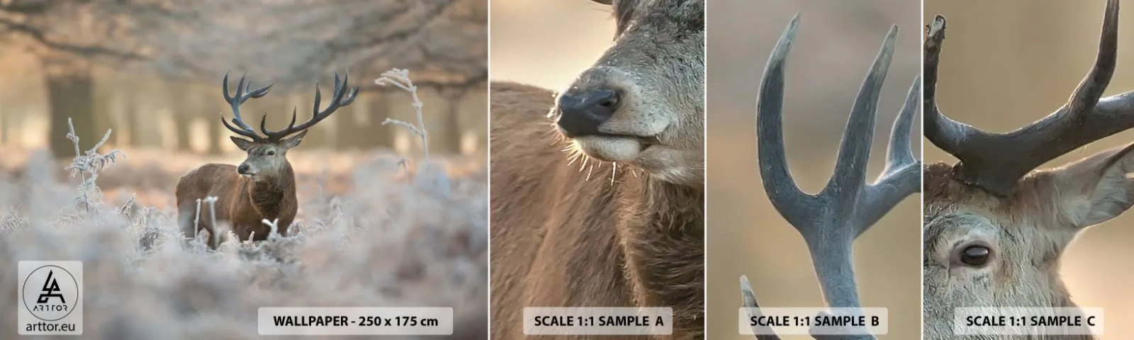 Muestra de fotomural autoadhesivo Deluxe Sticker - Una mañana fresca - Paisaje, Ciervo, animales - 100x30 cm