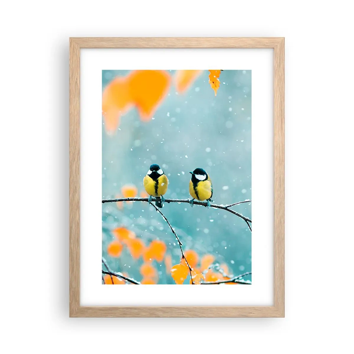 Póster en marco roble claro - Cotilleo de pájaros - 30x40 cm