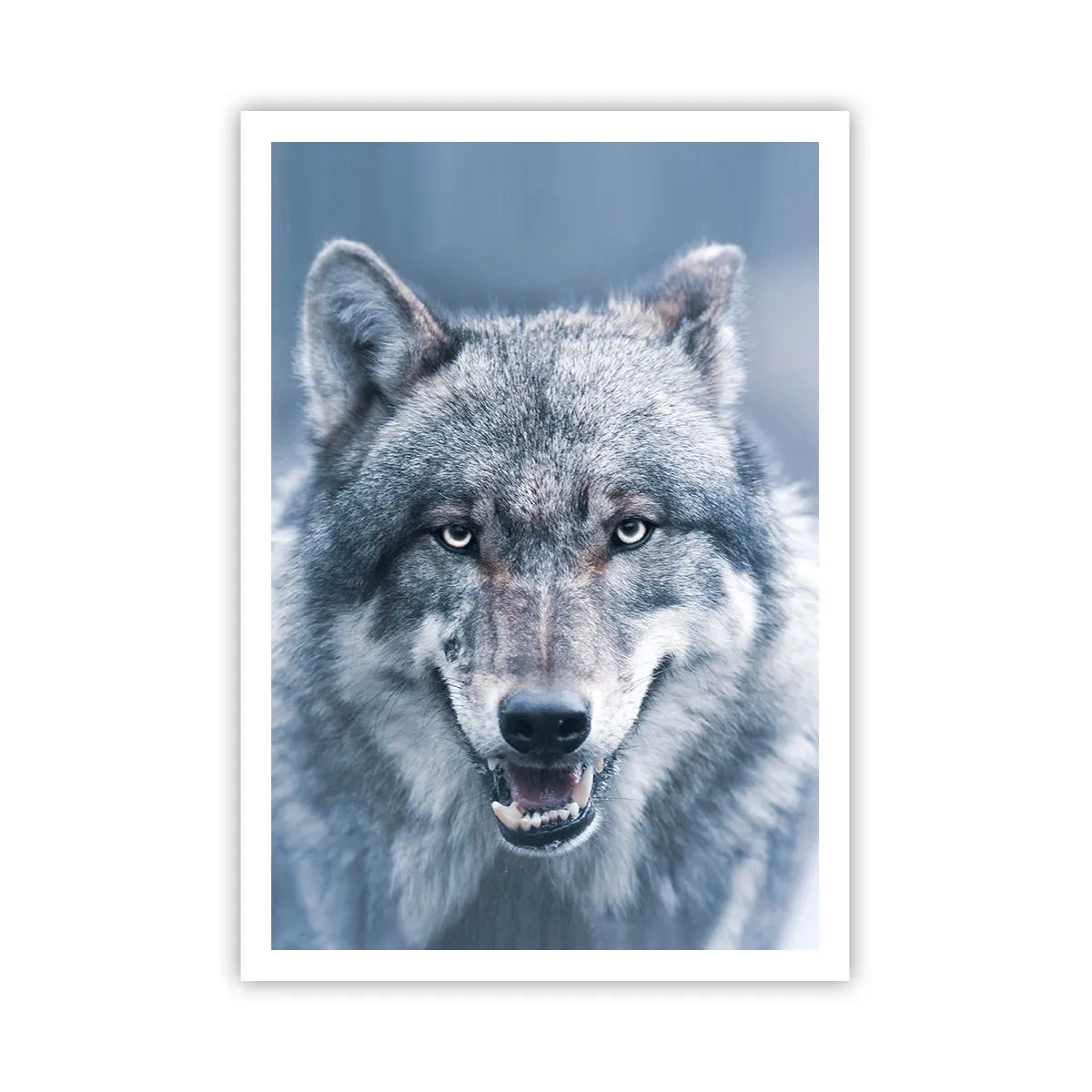 Póster - ¿Aceptarás el reto? - 70x100 cm