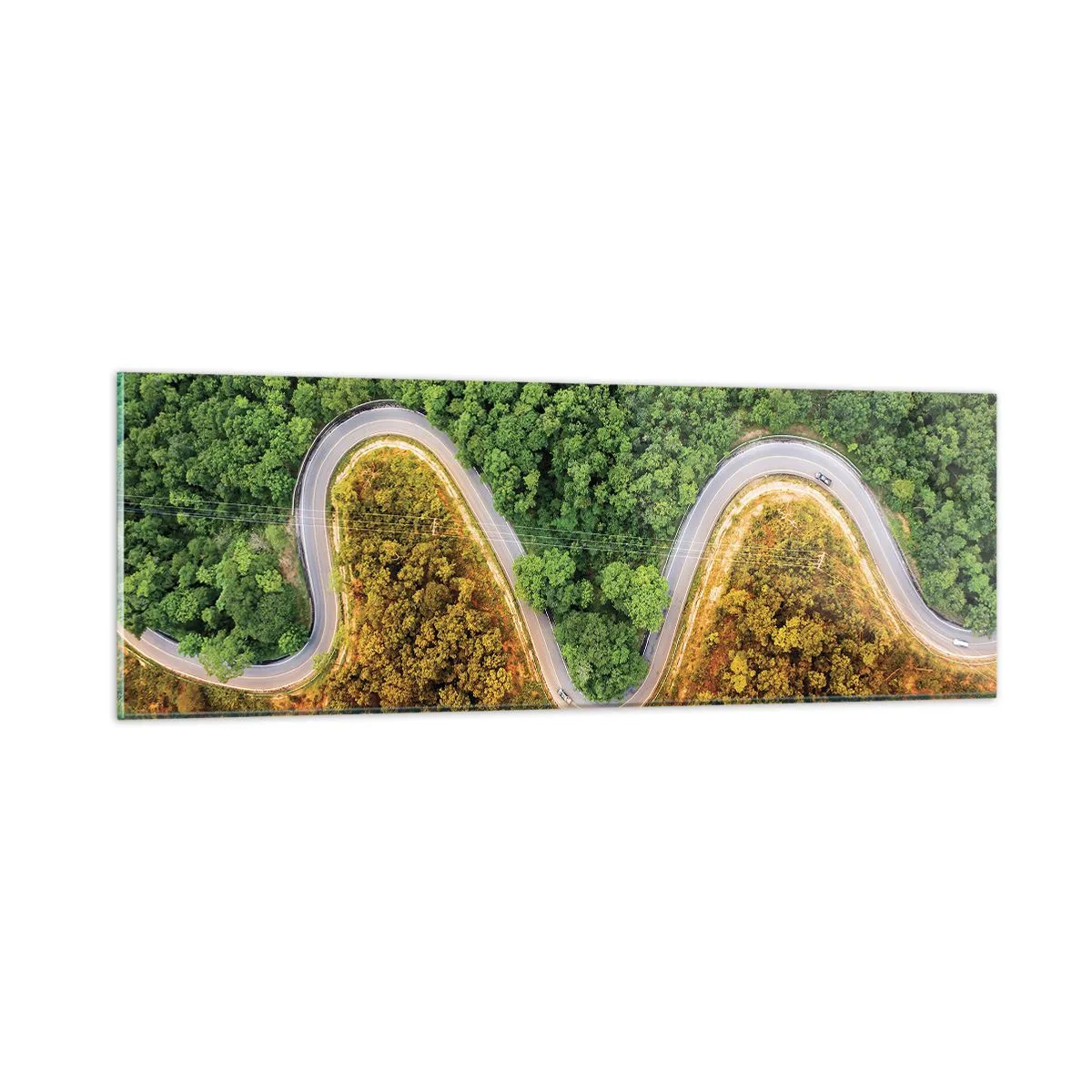 Cuadro sobre vidrio - Impresiones sobre Vidrio - Frontera serpenteante - 90x30 cm