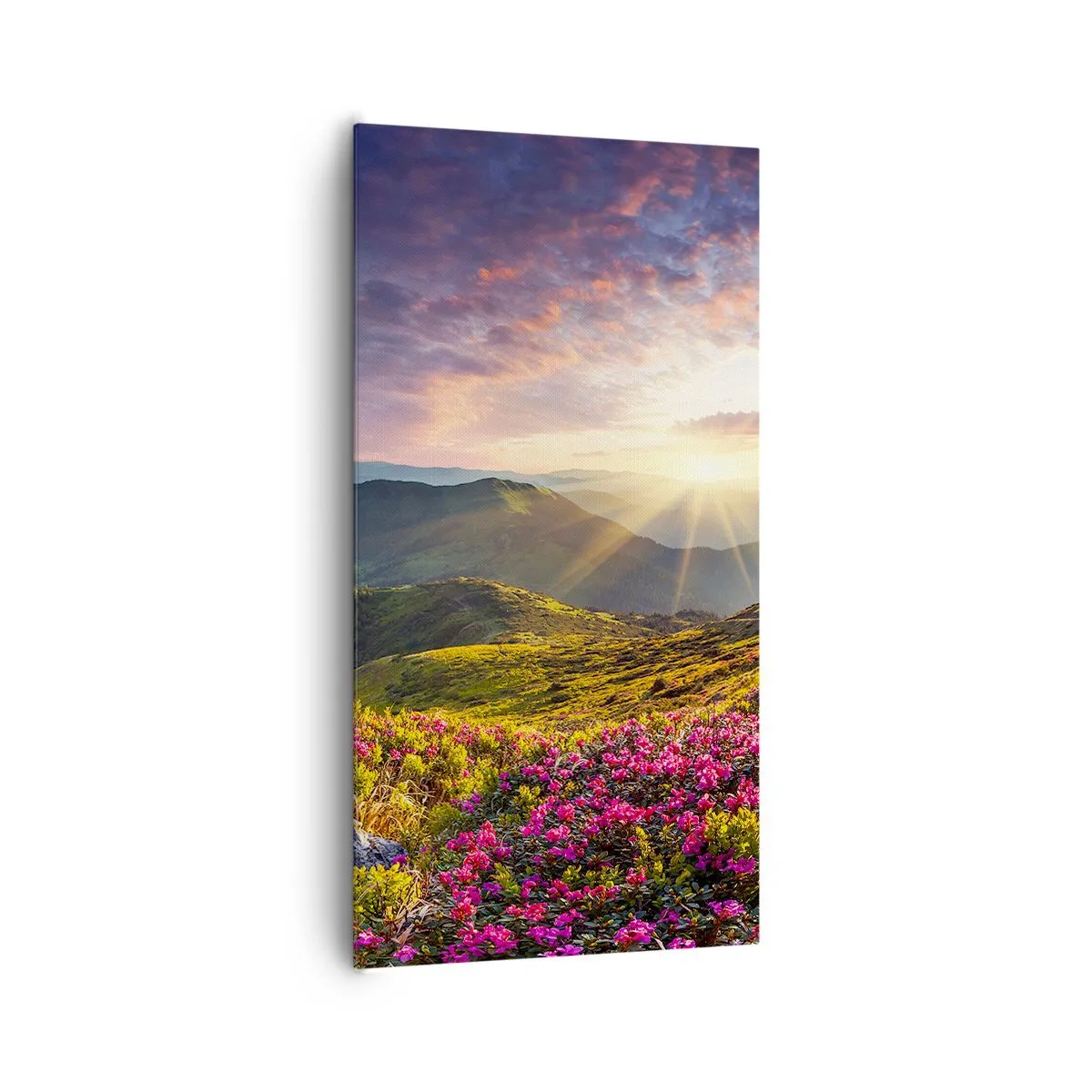 Cuadro sobre lienzo - Impresión de Imagen - La frescura de una mañana de montaña - 65x120 cm