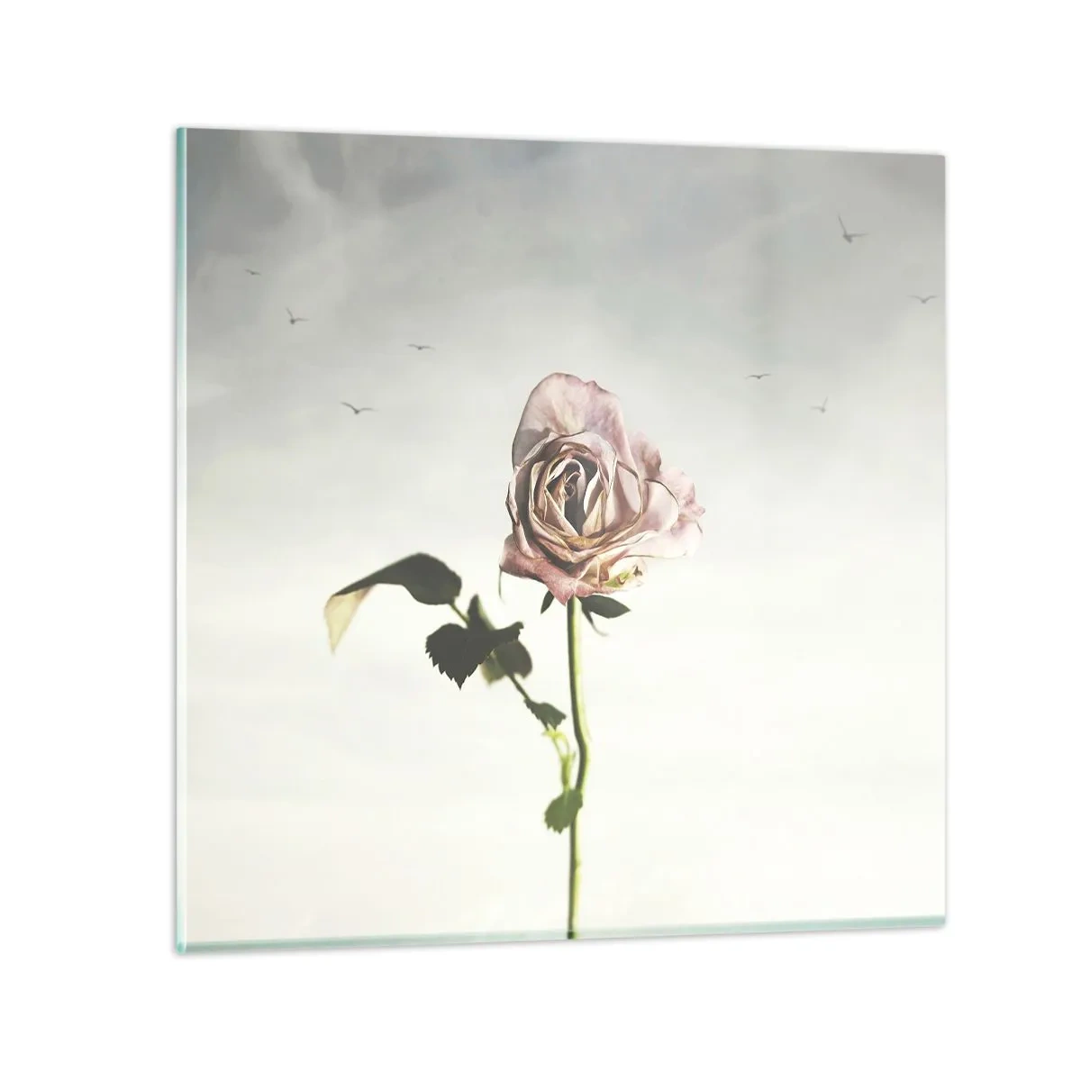 Cuadro sobre vidrio - Impresiones sobre Vidrio - Bienvenida a la primavera - 50x50 cm