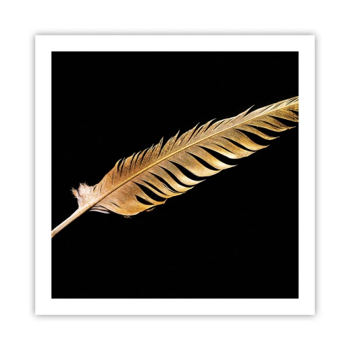 Póster - Pluma de alta calidad - 60x60 cm
