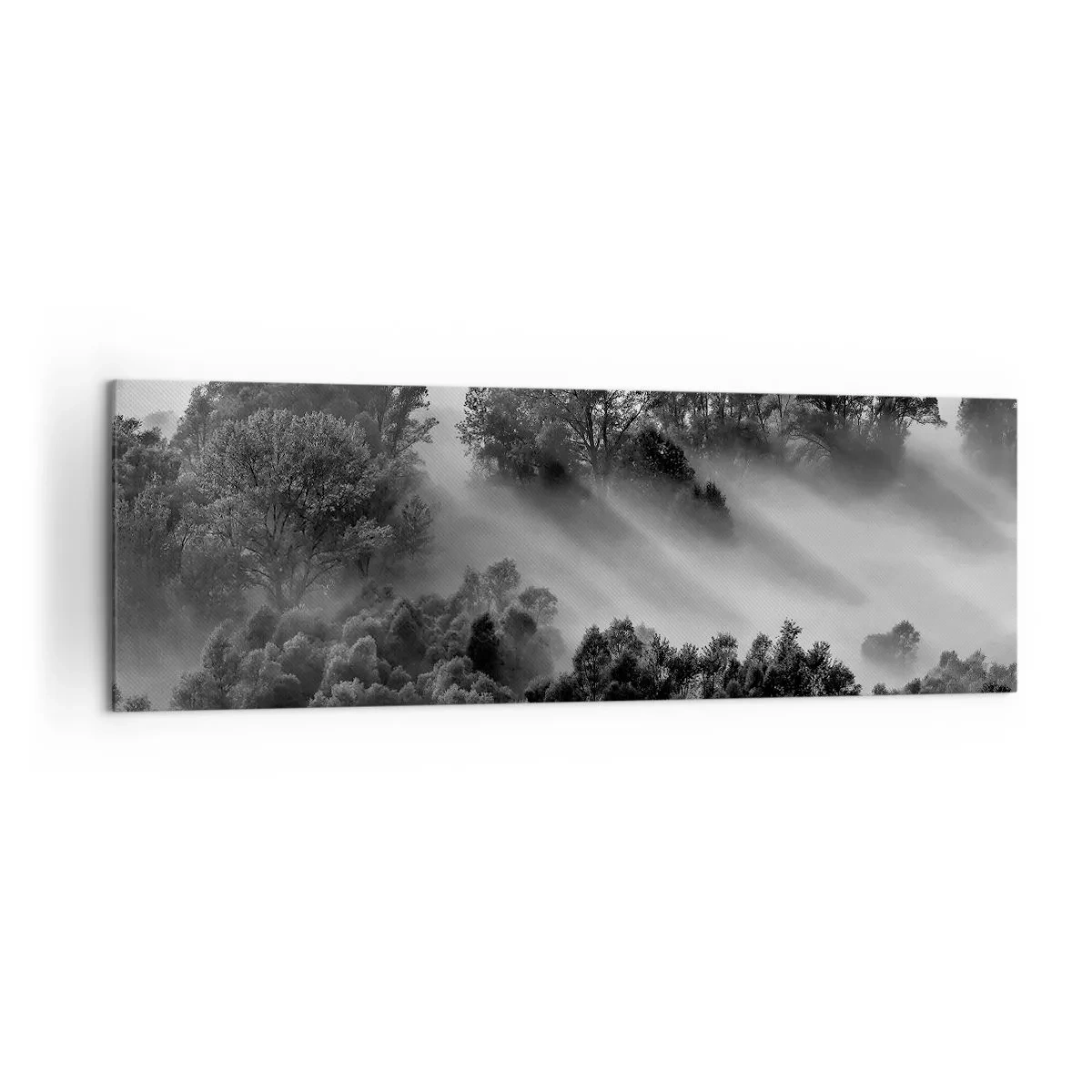 Cuadro sobre lienzo - Impresión de Imagen - Paisaje forestal en blanco y negro en la niebla matutina - 160x50cm - Levantarse del sueño - Decoración de pared moderna para salón y dormitorio ARTTOR
