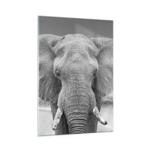 Cuadro sobre vidrio - Impresiones sobre Vidrio - Retrato en blanco y negro de un elefante en la sabana. - 50x70cm - Bienvenido a mi mundo - Decoración de pared moderna para salón y dormitorio ARTTOR