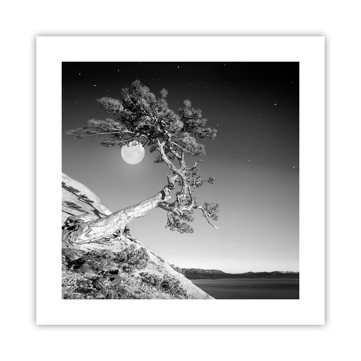 Póster - Un guerrero victorioso - 40x40 cm