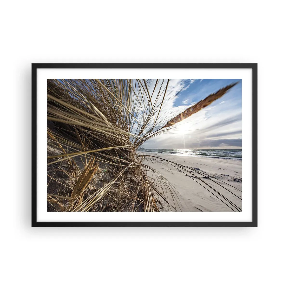 Póster en marco negro - Una playa con hierba seca en las dunas y vistas al mar. - 70x50cm - Una reunión de los elementos - Decoración de pared moderna para salón y dormitorio ARTTOR