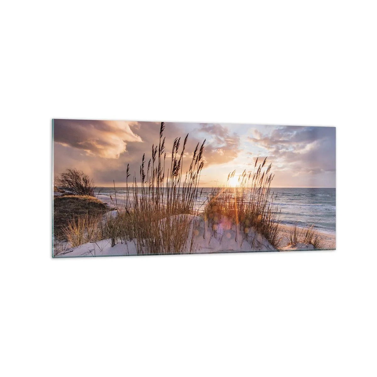 Cuadro sobre vidrio - Impresiones sobre Vidrio - Dunas con hierbas con el sol poniente como telón de fondo - 120x50cm - Adiós al sol y al viento - Decoración de pared moderna para salón y dormitorio ARTTOR