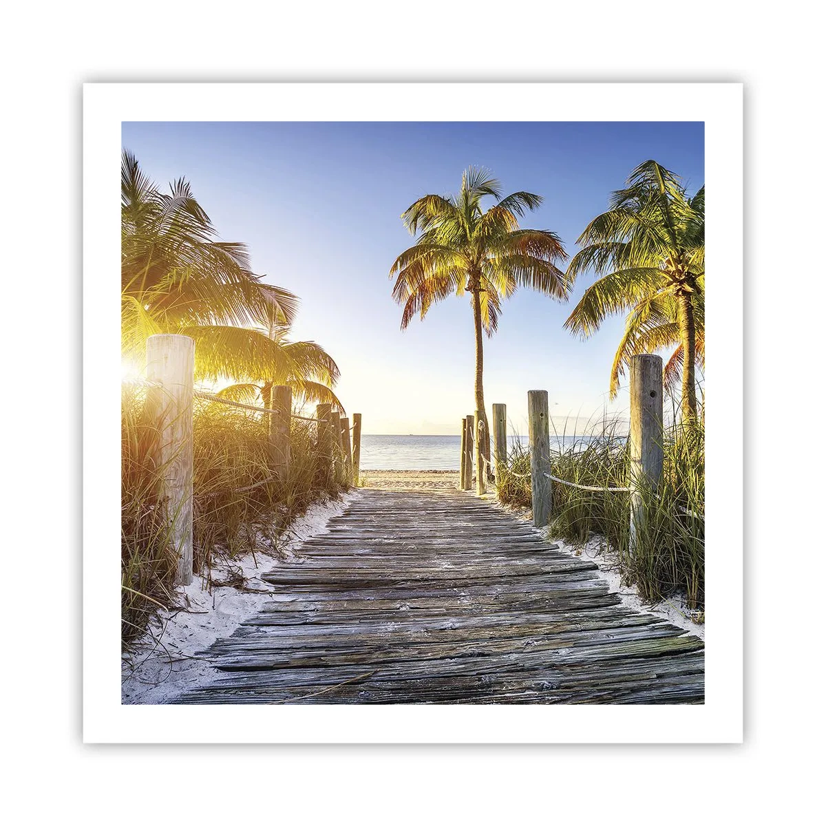 Póster - Directo al paraíso - 60x60 cm
