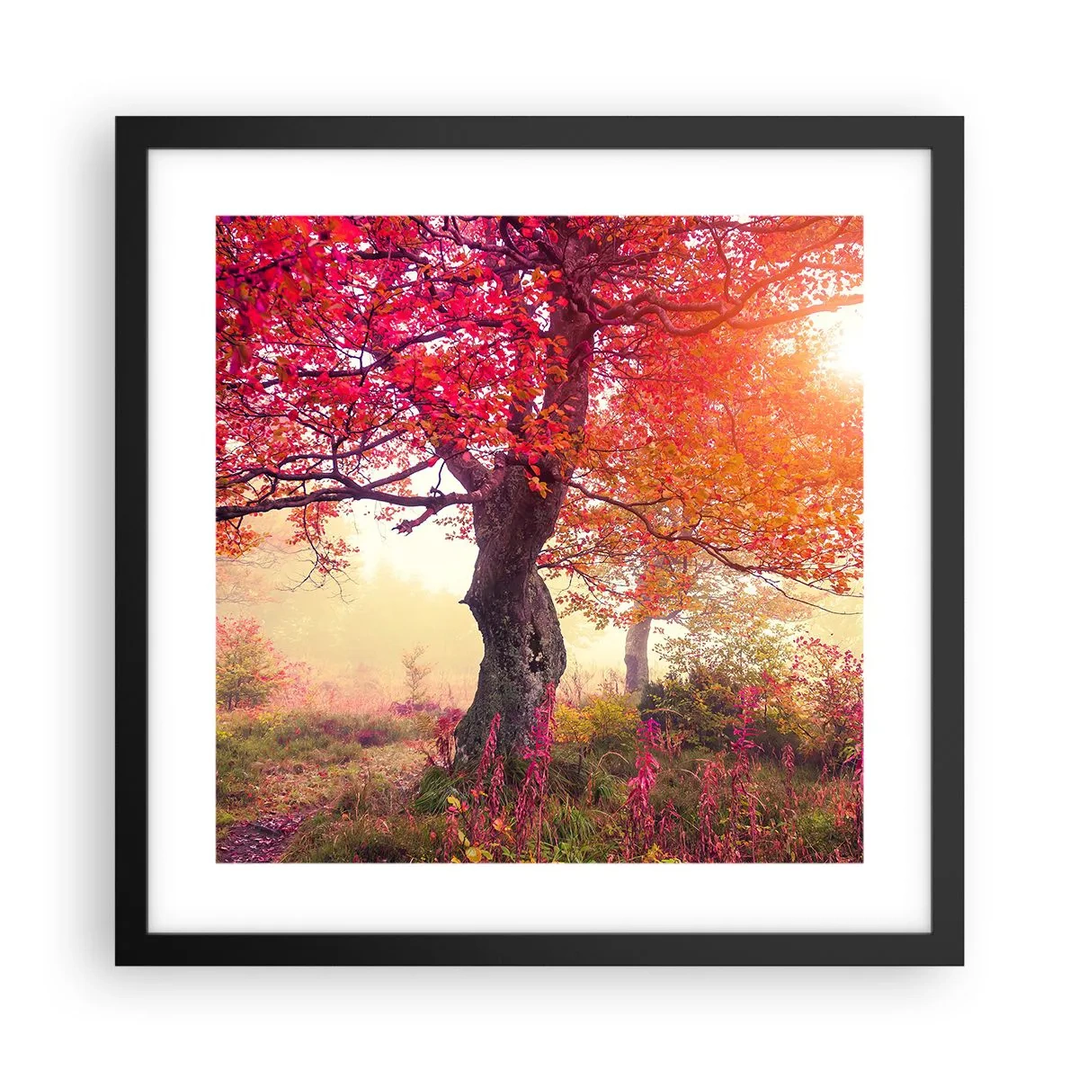 Póster en marco negro - Un frenesí de floración - 40x40 cm