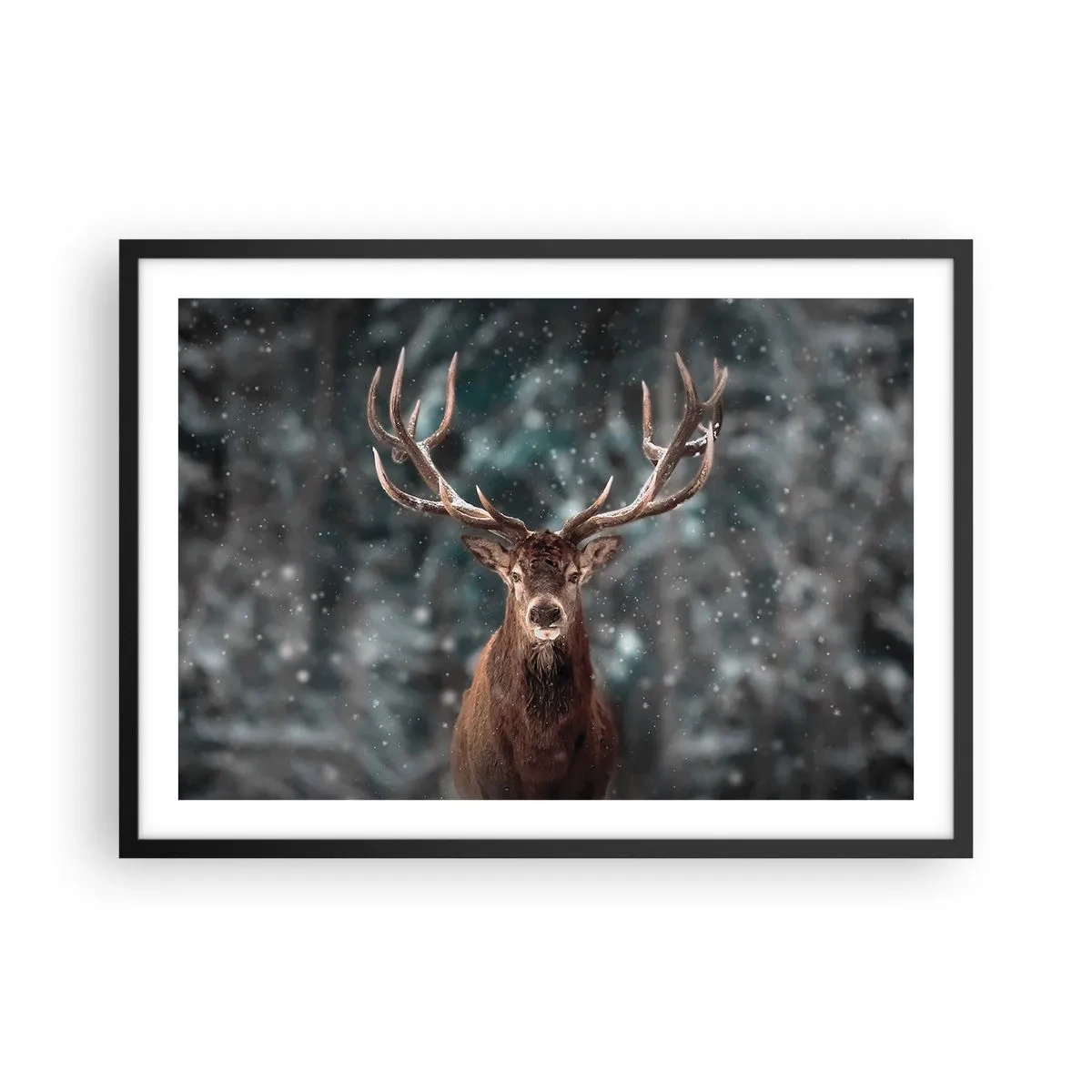 Póster en marco negro - Ciervos en un bosque invernal con nieve cayendo - 70x50cm - Coronado rey del bosque - Decoración de pared moderna para salón y dormitorio ARTTOR