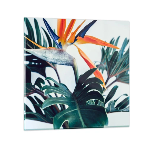 Cuadro sobre vidrio - Impresiones sobre Vidrio - La jaula del pájaro colorido - 40x40 cm