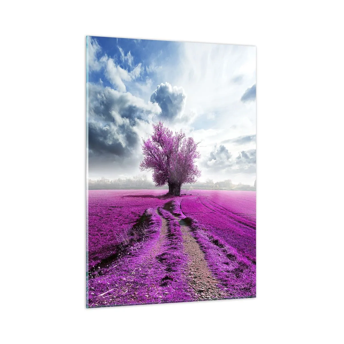 Cuadro sobre vidrio - Impresiones sobre Vidrio - Un árbol en un campo de brezos bajo un cielo dinámico. - 50x70cm - El brezal - un encanto - Decoración de pared moderna para salón y dormitorio ARTTOR