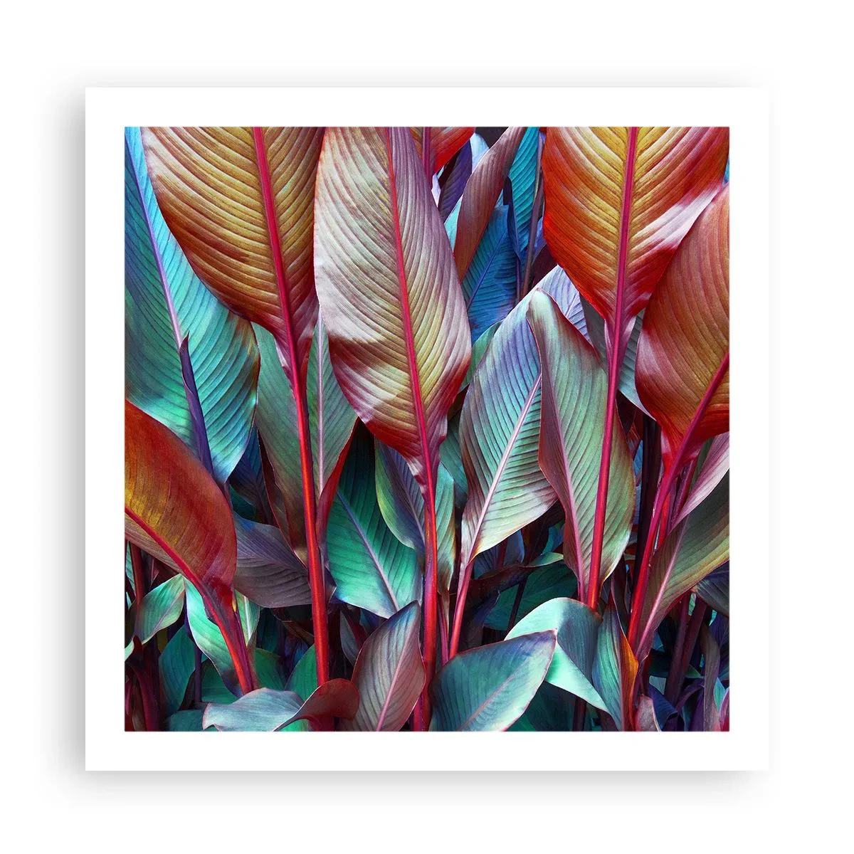 Póster - Un matorral de colores - 60x60 cm