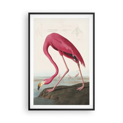 Póster en marco negro - Creación asombrosa - 61x91 cm