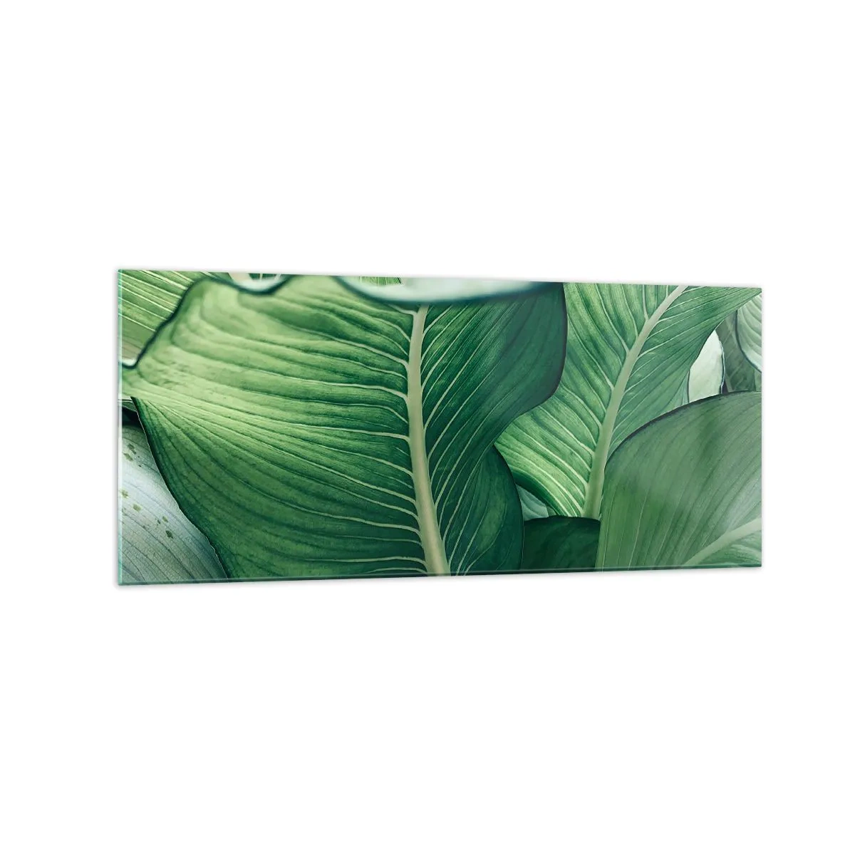 Cuadro sobre vidrio - Impresiones sobre Vidrio - Hojas verdes con detalles expresivos y estructura. - 120x50cm - Vida intensamente verde - Decoración de pared moderna para salón y dormitorio ARTTOR