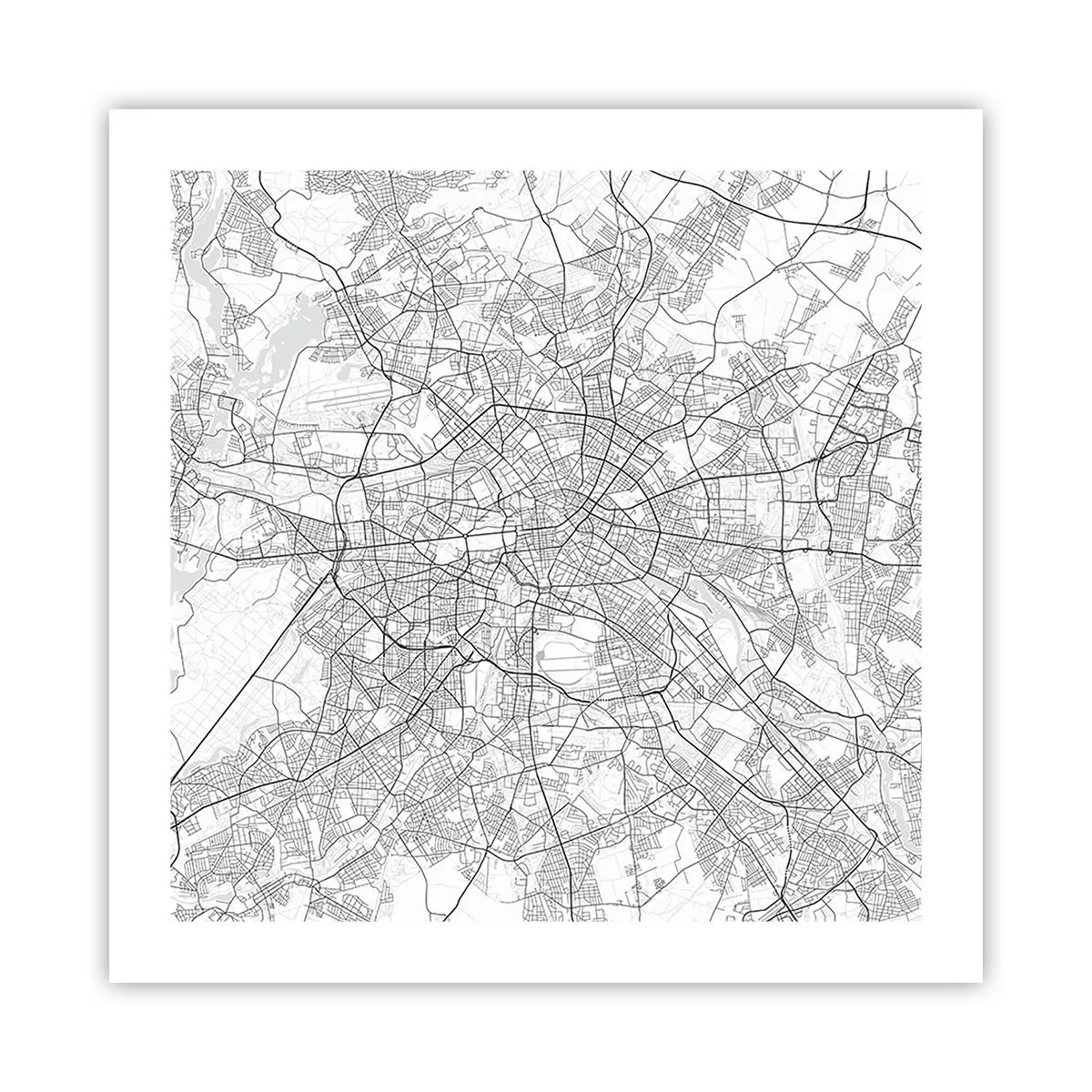 Póster - Flor de Berlín - 50x50 cm