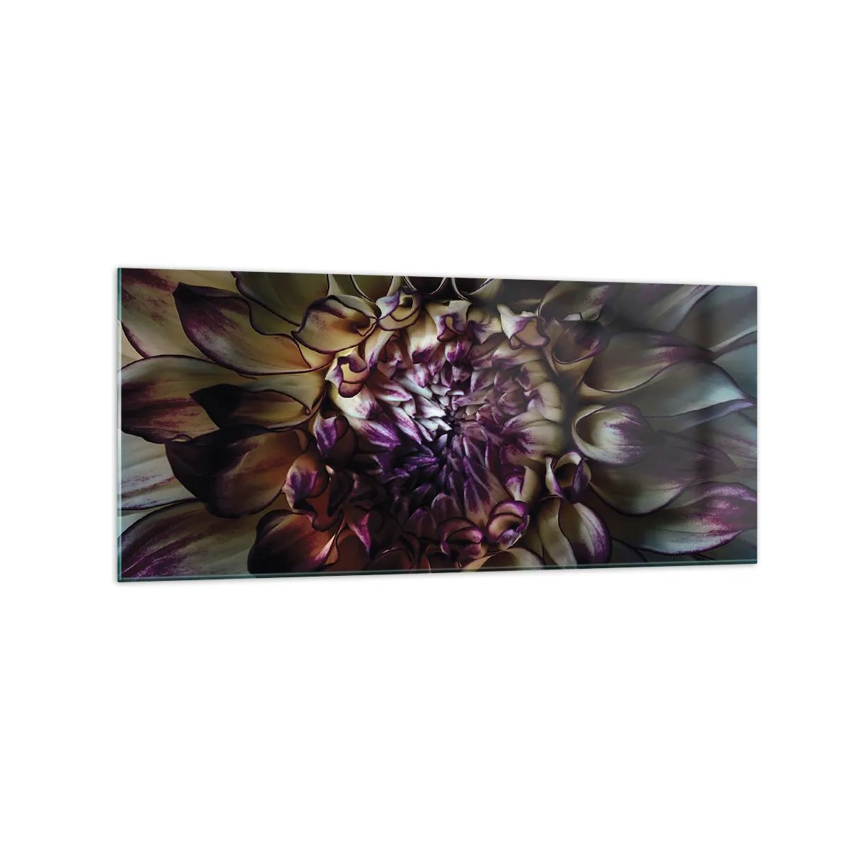 Cuadro sobre vidrio - Impresiones sobre Vidrio - Primer plano de una flor de dalia en tonos oscuros. - 120x50cm - El florecimiento de la hermosura - Decoración de pared moderna para salón y dormitorio ARTTOR
