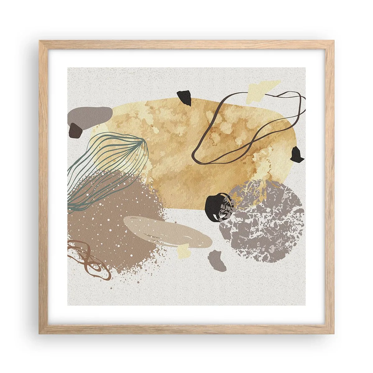 Póster en marco roble claro - Plumología aplicada - 50x50 cm