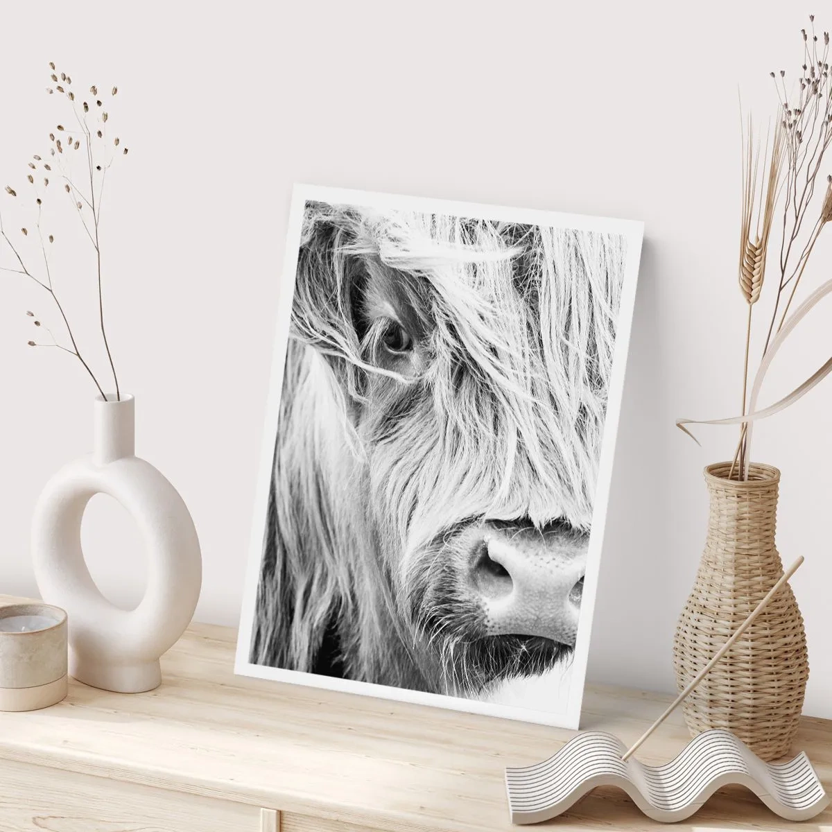 Póster - Un retrato en blanco y negro en primer plano de una vaca de las Tierras Altas de Escocia. - 50x70cm - La naturaleza escocesa - Decoración de pared moderna para salón y dormitorio ARTTOR