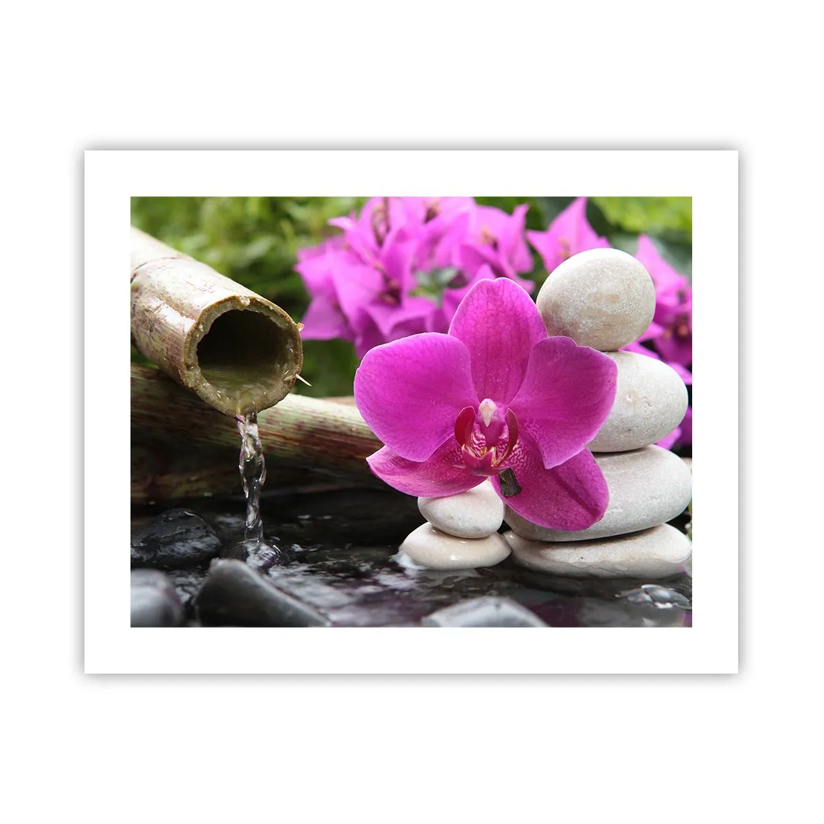 Póster - Ya estás descansando - 50x40 cm