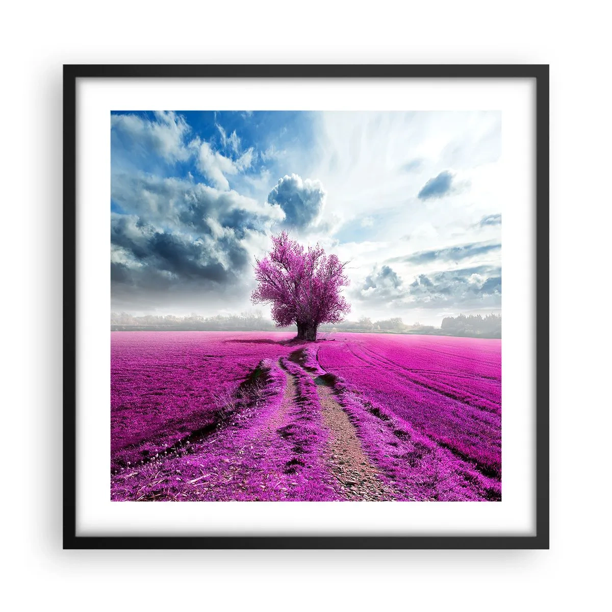 Póster en marco negro - El brezal - un encanto - 50x50 cm