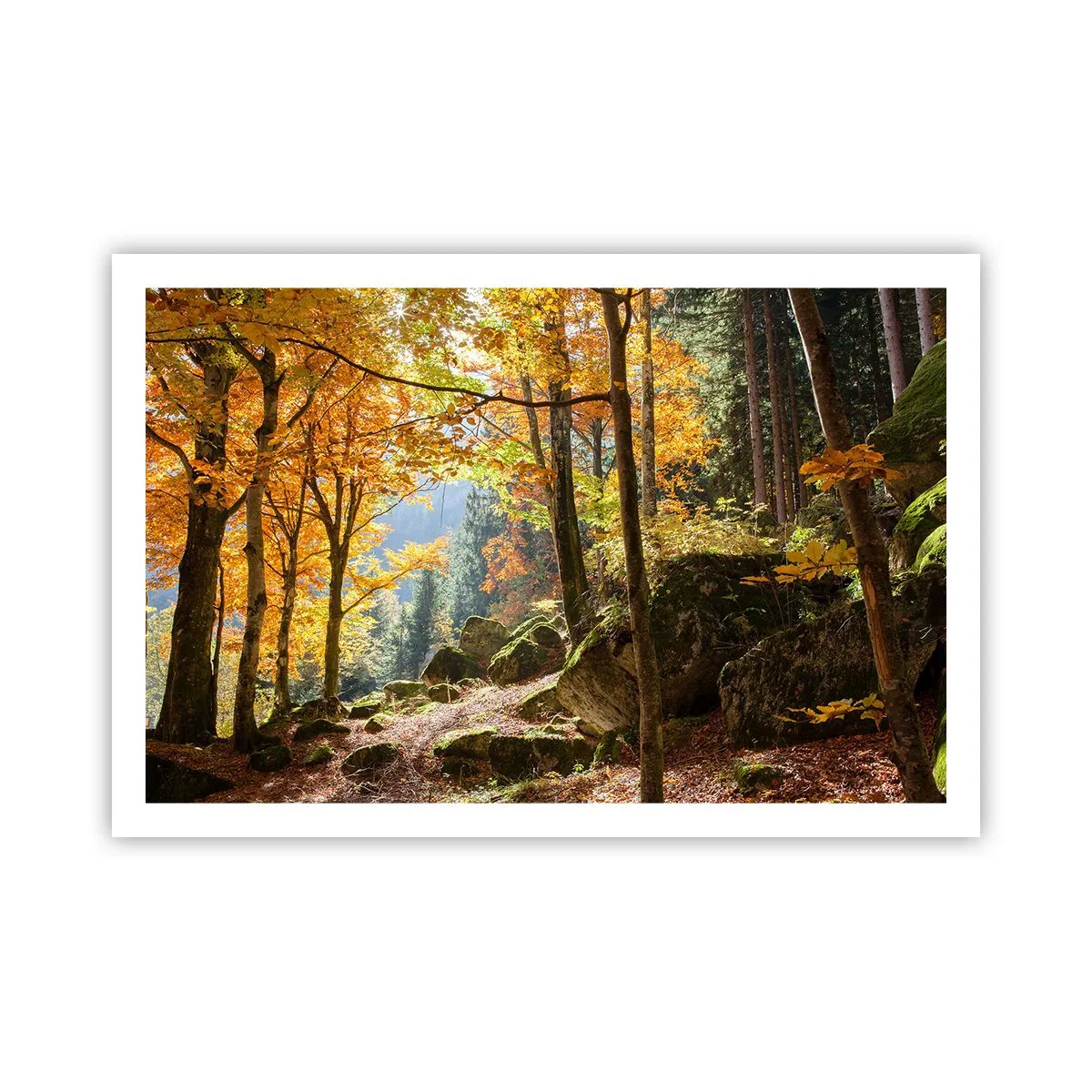 Póster - Tiempo de descanso - 91x61 cm