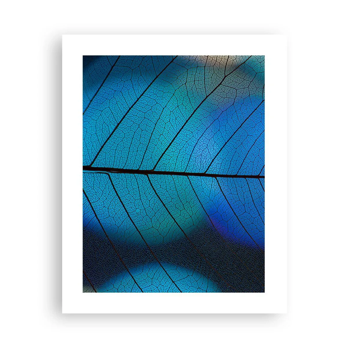 Póster - Construcción intrincada - 40x50 cm