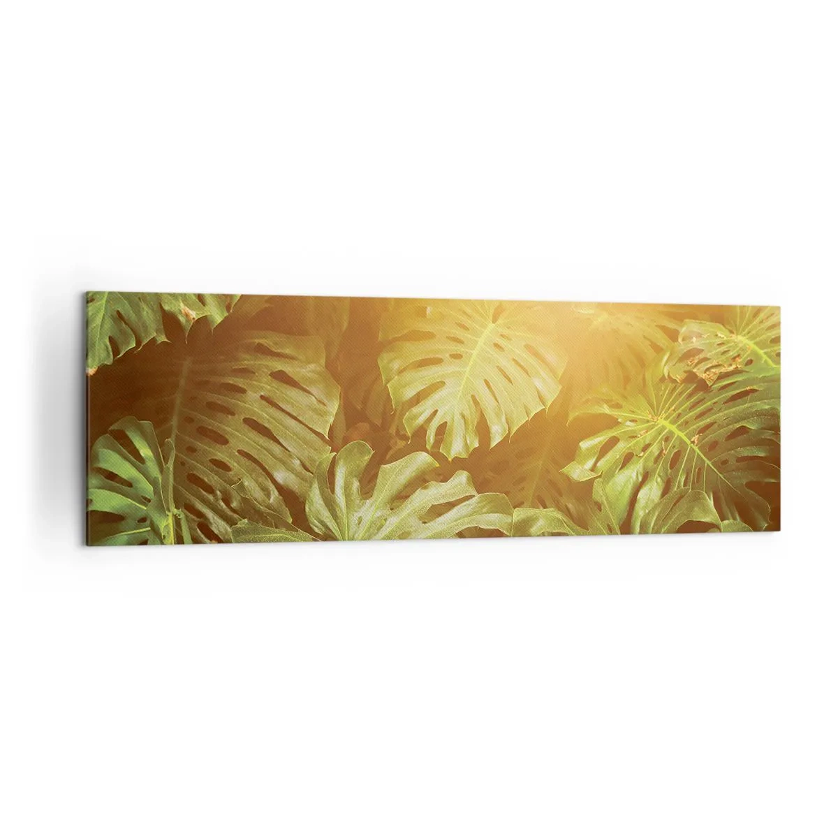 Cuadro sobre lienzo - Impresión de Imagen - Hojas de monstera a la luz del sol sobre un fondo natural. - 160x50cm - Hacia el verdor... - Decoración de pared moderna para salón y dormitorio ARTTOR