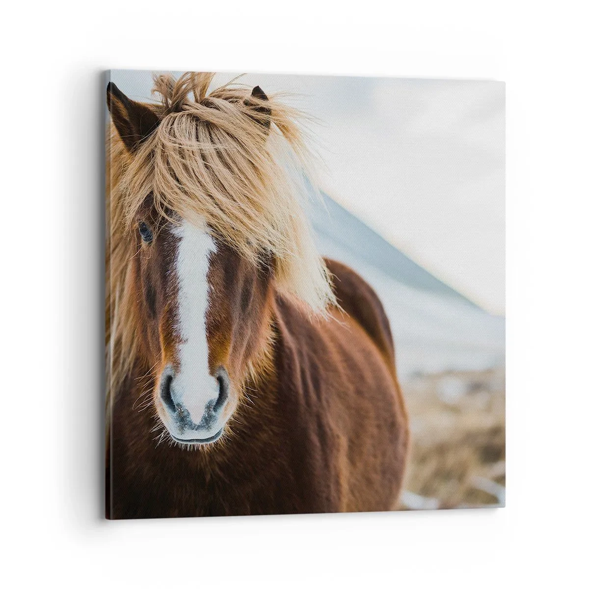 Cuadro sobre lienzo - Impresión de Imagen - ¿Puedes sentir la libertad? - 70x70 cm