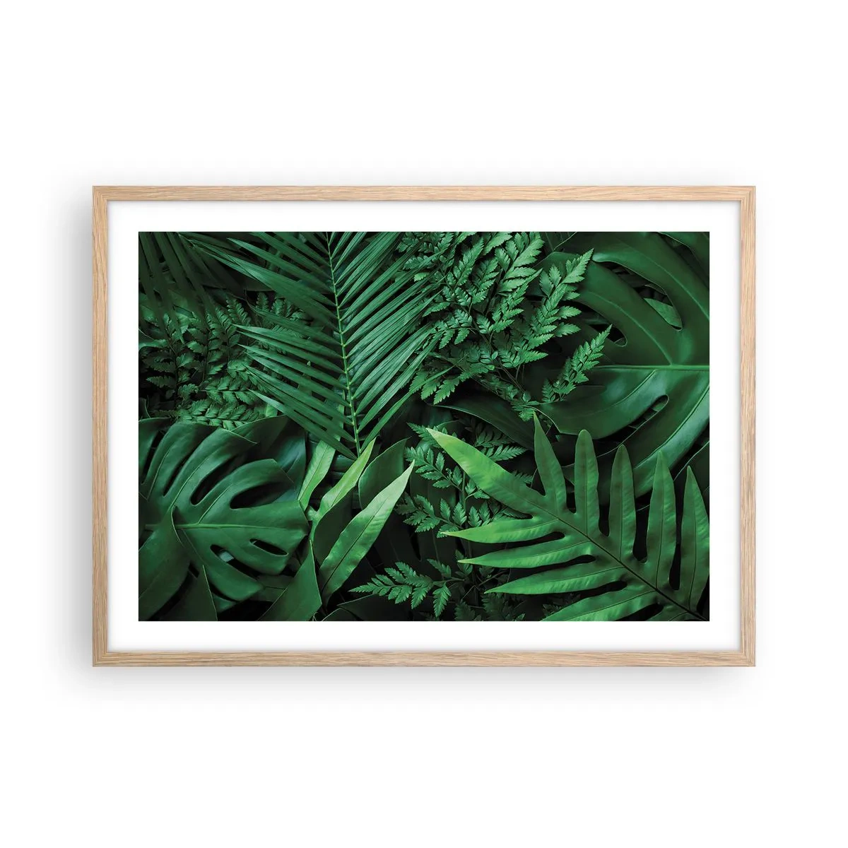 Póster en marco roble claro - Abrazo verde - 70x50 cm