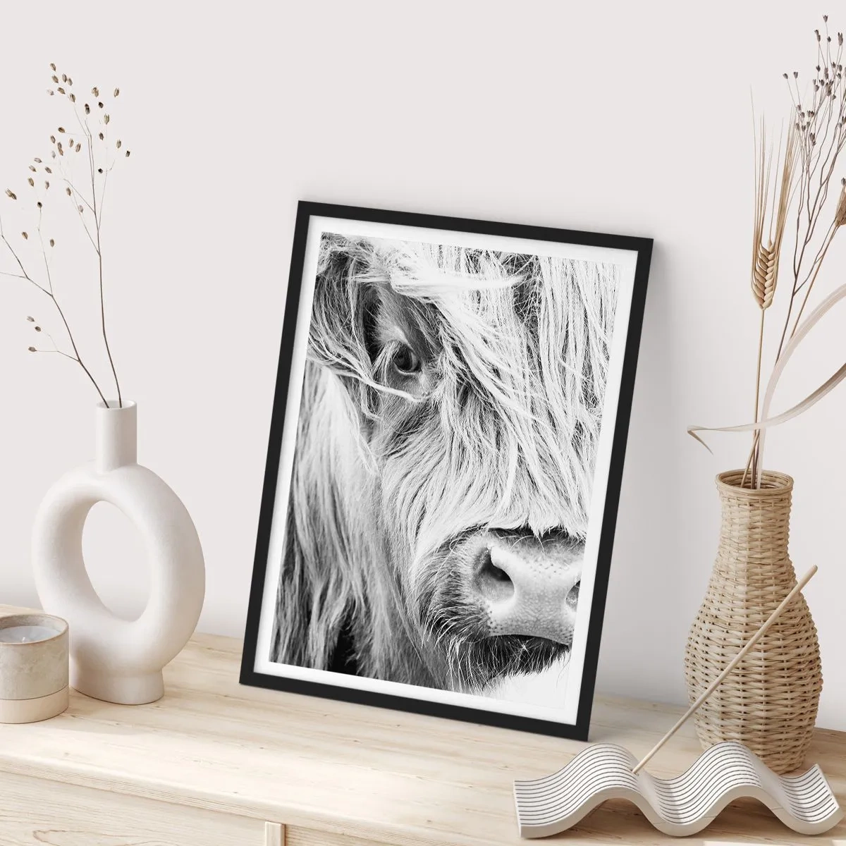 Póster en marco negro - Un retrato en blanco y negro en primer plano de una vaca de las Tierras Altas de Escocia. - 50x70cm - La naturaleza escocesa - Decoración de pared moderna para salón y dormitorio ARTTOR