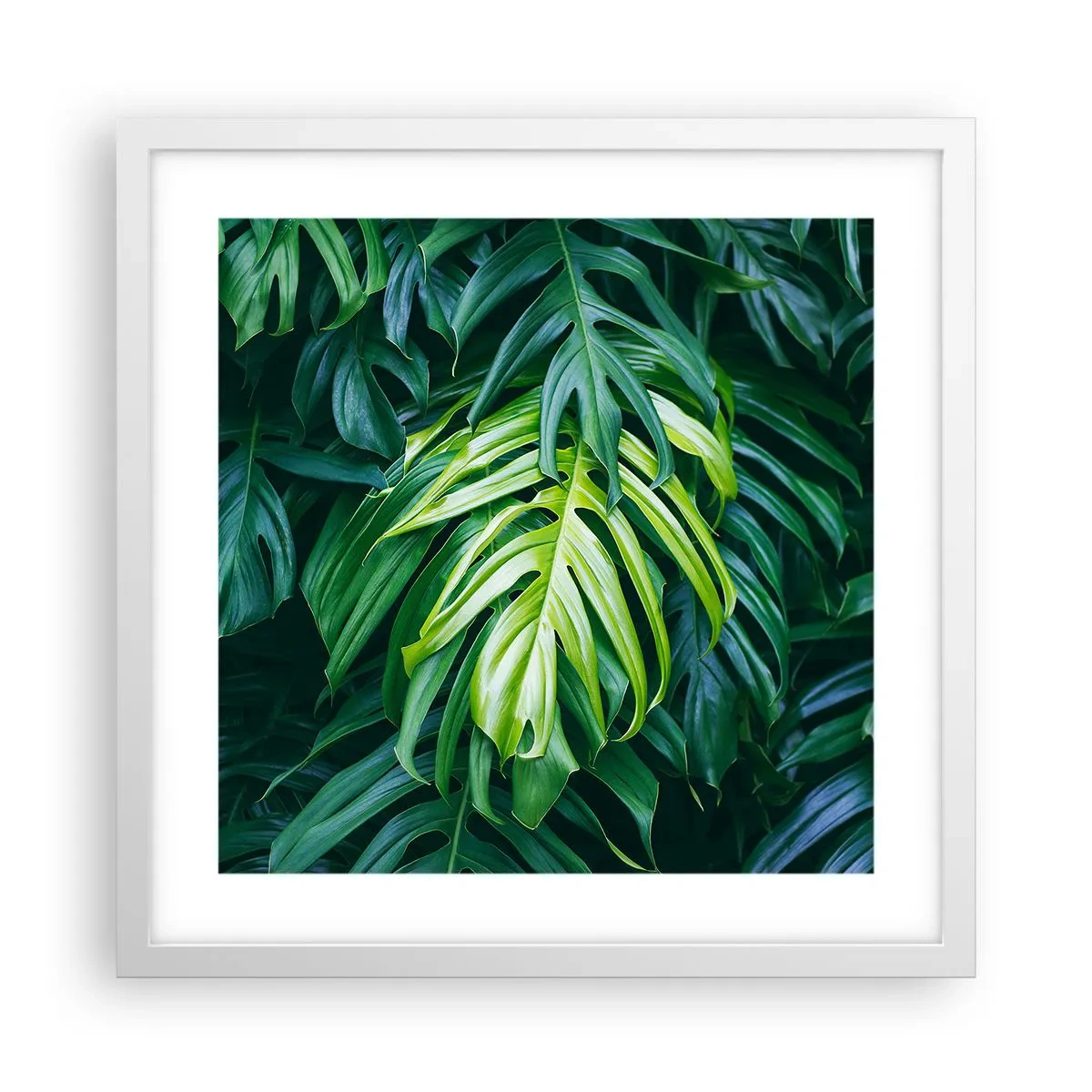 Póster en marco blanco - Sumérjase en la frescura - 40x40 cm