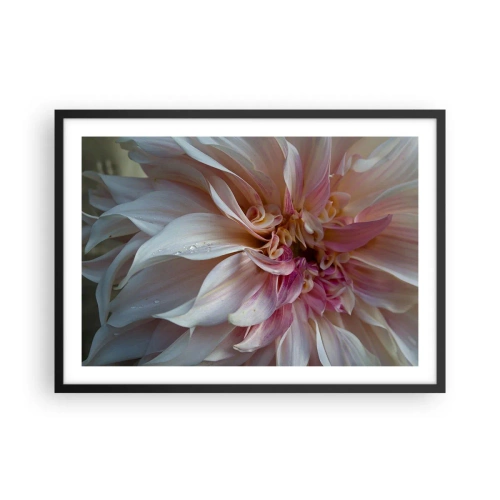 Póster en marco negro - Primer plano de delicados pétalos de flores rosas con gotas de agua. - 70x50cm - Frescura floreciente - Decoración de pared moderna para salón y dormitorio ARTTOR