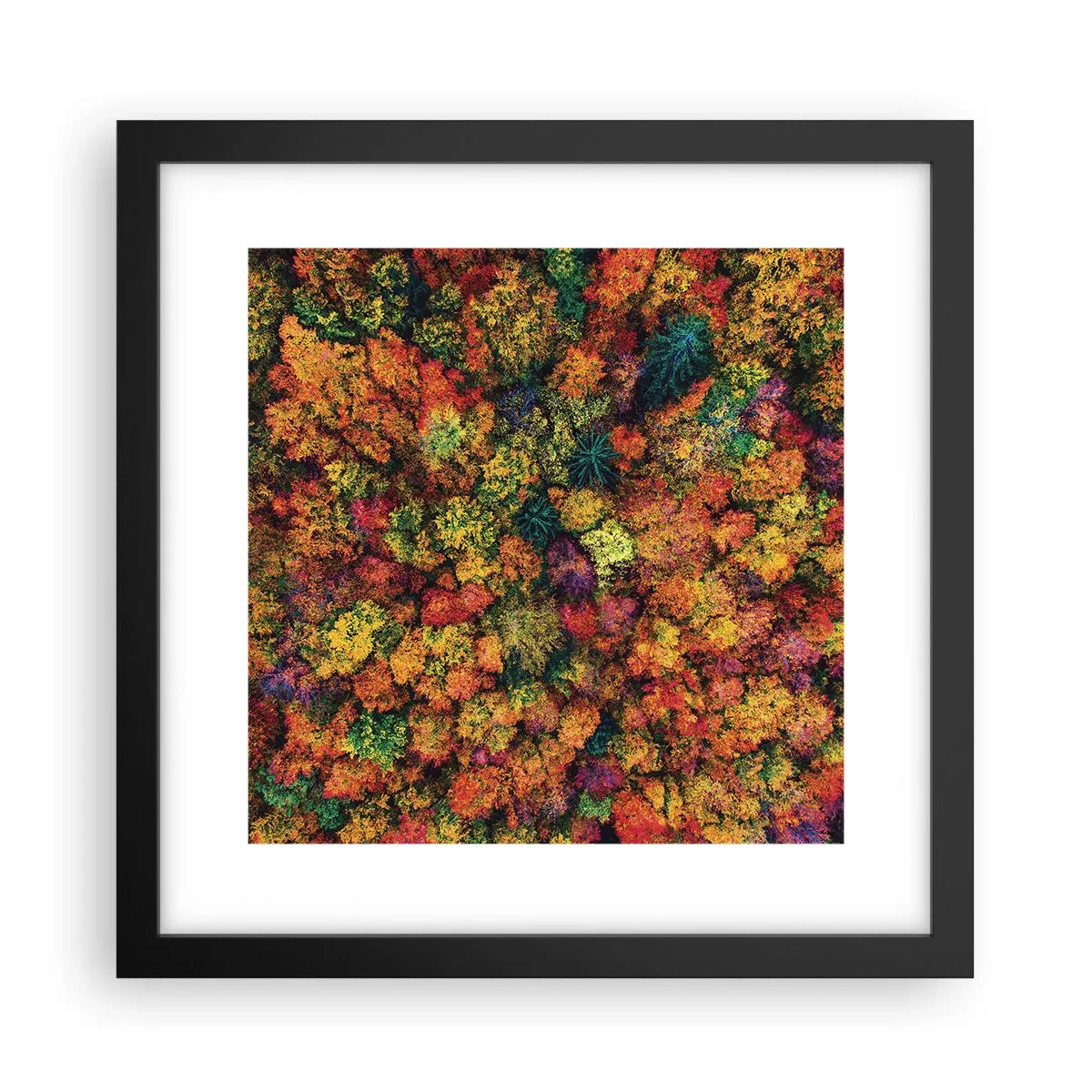 Póster en marco negro - Un ramo de árboles otoñales - 30x30 cm