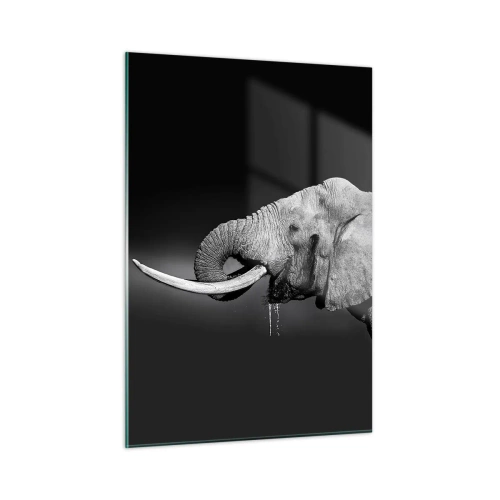 Cuadro sobre vidrio - Impresiones sobre Vidrio - Retrato en blanco y negro de un elefante con trompa. - 50x70cm - Majestuoso - Decoración de pared moderna para salón y dormitorio ARTTOR