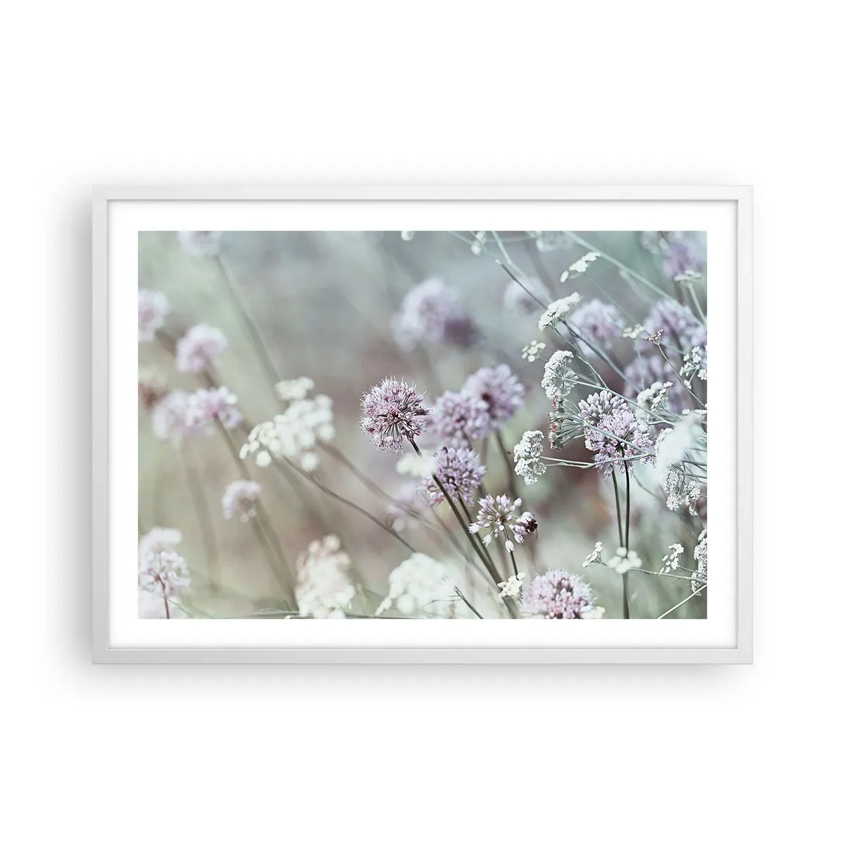 Póster en marco blanco - Dulces filigranas de hierbas - 70x50 cm