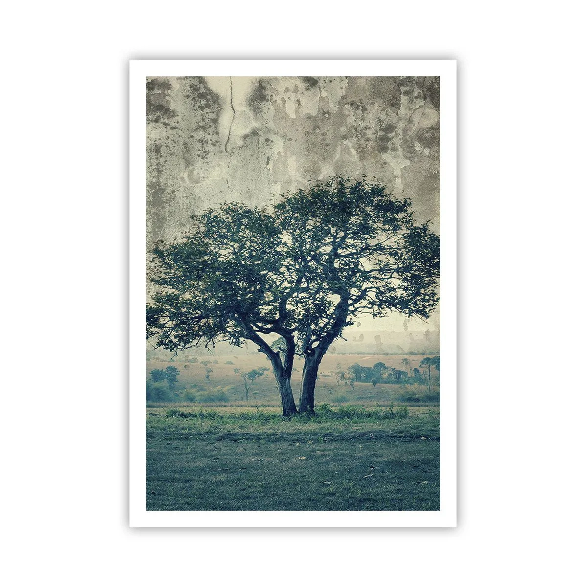Póster - El manzano - 70x100 cm